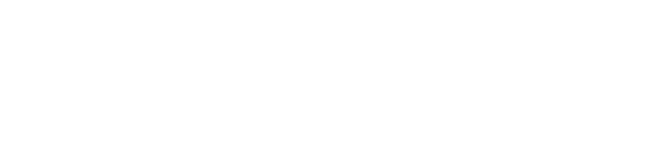 Straight Inspection Service